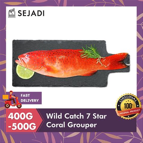 Wild Catch Star Coral Grouper G G Klang Valley Only