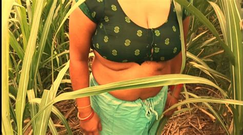 Bhabhi Ki Gand Chudai Sugarcane Ke Khet Mein Indian Sex Video XHamster