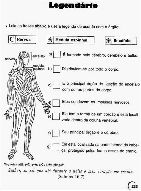 36 Atividades sobre Sistema Nervoso para Imprimir - Online Cursos ...