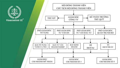 20 Mẫu Sơ đồ Tổ Chức Công Ty Theo Loại Hình Lĩnh Vực Bộ Phận