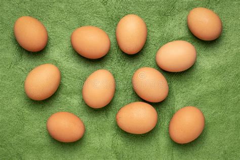 Free Range Large Brown Chicken Eggs Stock Image Image Of Organic