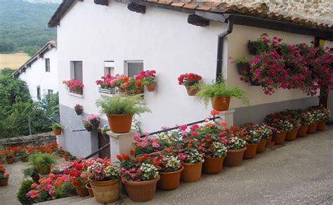 Consejos Para Decorar Tu Patio Con Flores