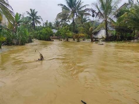 Walhi Sebut Banjir Di Aceh Tenggara Bukti Kerusakan Hutan Semakin Masif