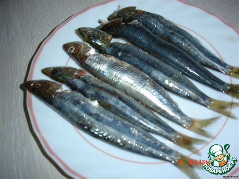 Boquerones con vinagre - килька, маринованная в винном уксусе ...
