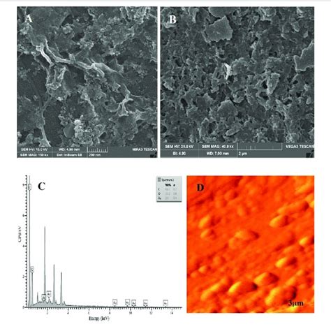 A Sem Images Of Aunps Rgo B Sem Image Of Aunps Rgo Pnr