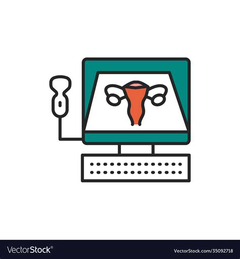 Ultrasonic Diagnostic Female Reproductive System Vector Image