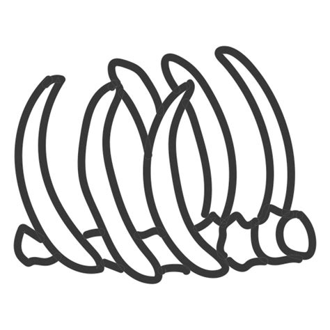 Dinosaur Ribs Outline Png Svg Design For T Shirts