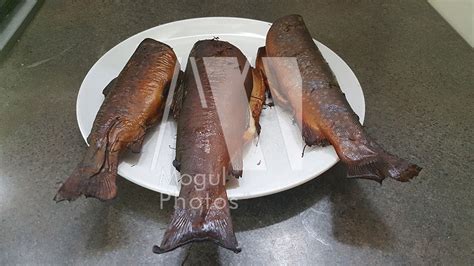 Smoked Trout Mogul Photos