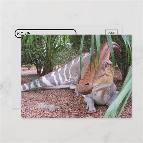 Postcrossing Parasaurolophus Dinosaur Postcard Zazzle