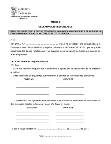 Anexo Ii Declaraci N Responsable D D