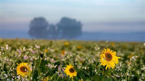 Herbstwetter Sonniger Feiertag Und Milde Temperaturen In Bayern