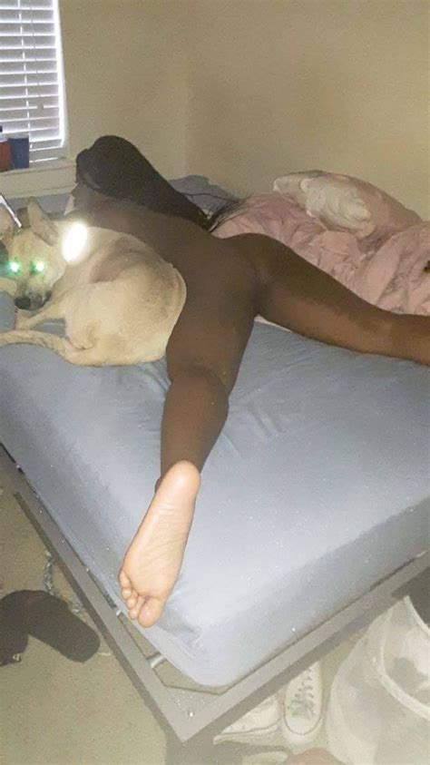 Tx Collage Black Lesbian Who Loves Dick ShesFreaky