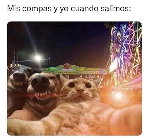 Mis Compas Y Yo Cuando Salimos Memes