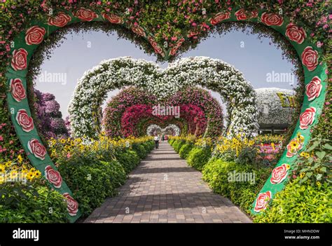 Heart Shaped Garden Decor At The Miracle Gardens In Dubai Uae Middle