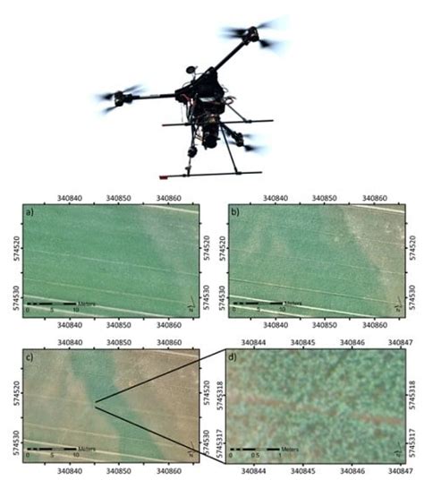 Remote Sensing Free Full Text Monitoring Agronomic Parameters Of