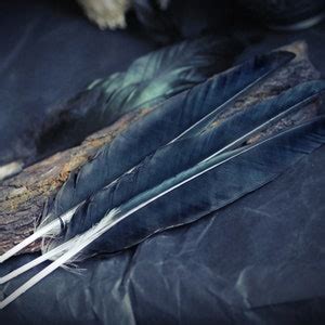 Black Raven Feathers, Crow Feathers, Magic, Witchcraft Tools - Etsy