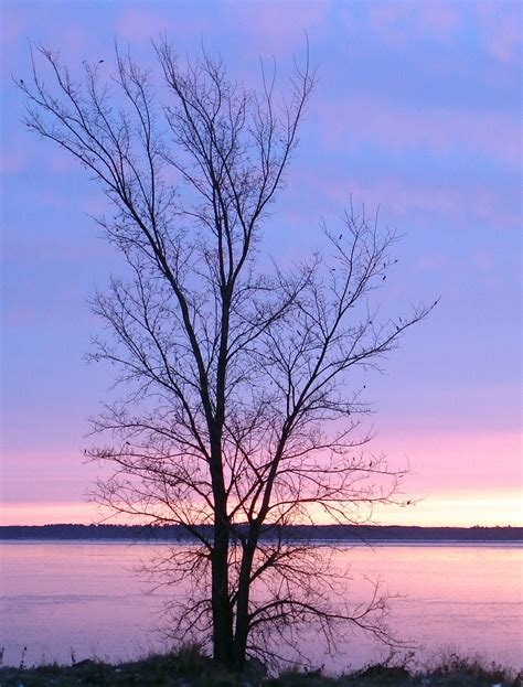 Lake Bemidji Winter Scene
