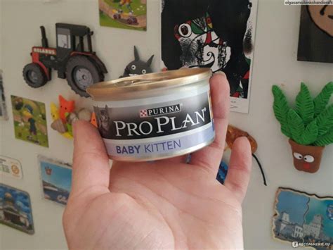 Pro Plan Junior для котят паштет (мусс) со вкусом курицы и печени ...
