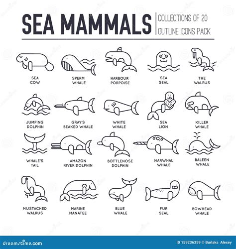 Conjunto De Iconos De La Delgada LÃnea De Los MamÃferos Marinos
