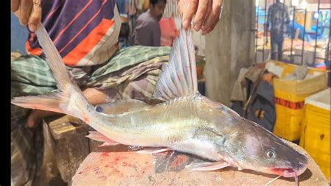 Amazing Ayer Fish Cutting Skills In Bangladesh Fish Market By Expert