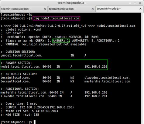 Job related: Build a DNS server in linux...master and slave