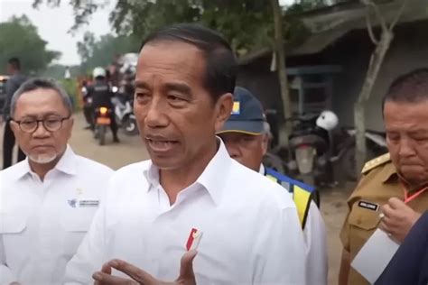 Intervensi Dinasti Politik Jokowi Dedi Kurnia Syah Negara Milik