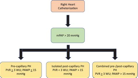 Hemodynamic Definitions Of Pulmonary Hypertension Types Download