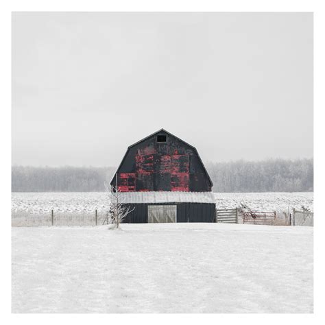 Portrait # 037, Selkirk, Ontario, Canada, 2023 | -17°C - Martine Côté