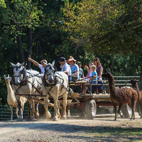 The Farm at Walnut Creek | Amish Country Insider