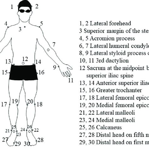 Relationship between the range of motion (ROM) of hip rotation and the ...