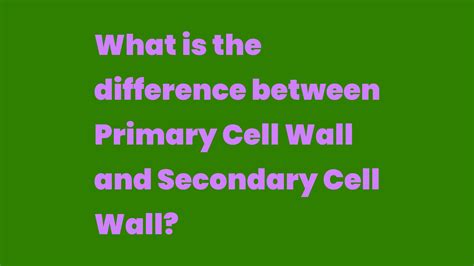 What Is The Difference Between Primary Cell Wall And Secondary Cell