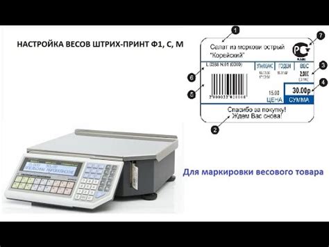 Настройка чекопечтающих весов Штрих Принт Ф1, М, С. Маркировка весового ...