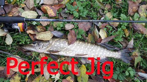 РЫБАЛКА НА ЩУКУ И ОКУНЯ Crazy Fish Perfect Jig CFPJ-81-UL-SS - YouTube