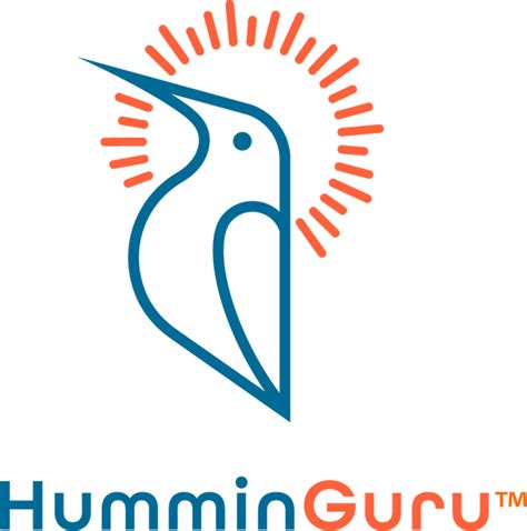 Humminguru NOVA Advanced Ultrasonic Vinyl Record Cleaner – HumminGuru