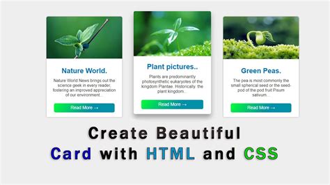 How To Create Cards Design Using Html And Css YouTube