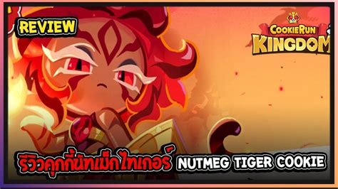 Cookie Run Kingdom Review รววคกกนทเมกไทเกอร NutMEG tiger