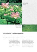 Lotus-Effect® Coatings - Sto AG - PDF Catalogs | Documentation | Brochures