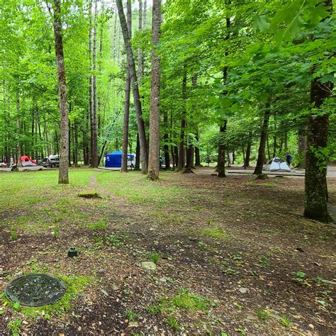 Cataloochee Campground The Dyrt