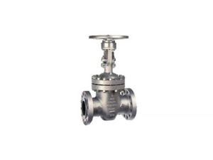 Xu F Gate Valve Wcb Class Braeco Sales