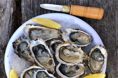 How To Use Oyster Shells In The Garden