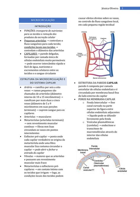 SOLUTION Microcircula O E Sistema Linf Tico Studypool