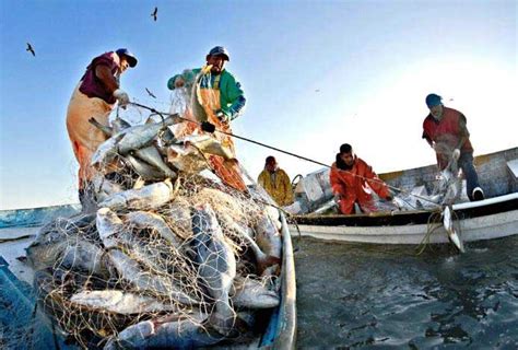 Pescadores buscan prácticas sustentables en Sonora