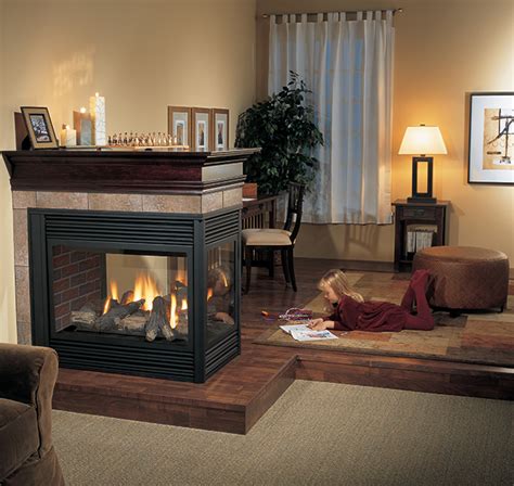 Three Sided Gas Fireplace Insert Mriya Net