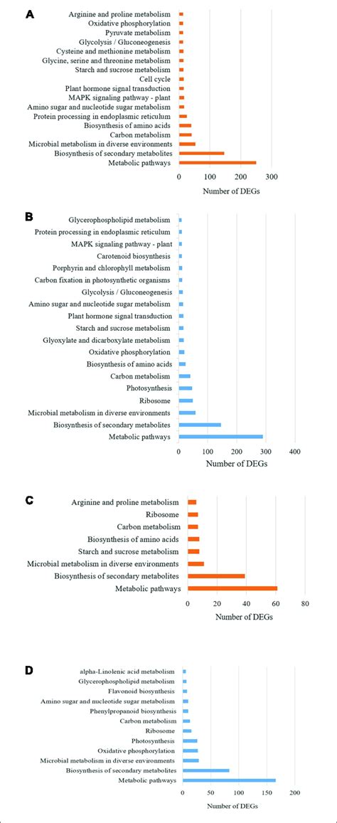 | KEGG pathway classification of the differentially expressed genes ...