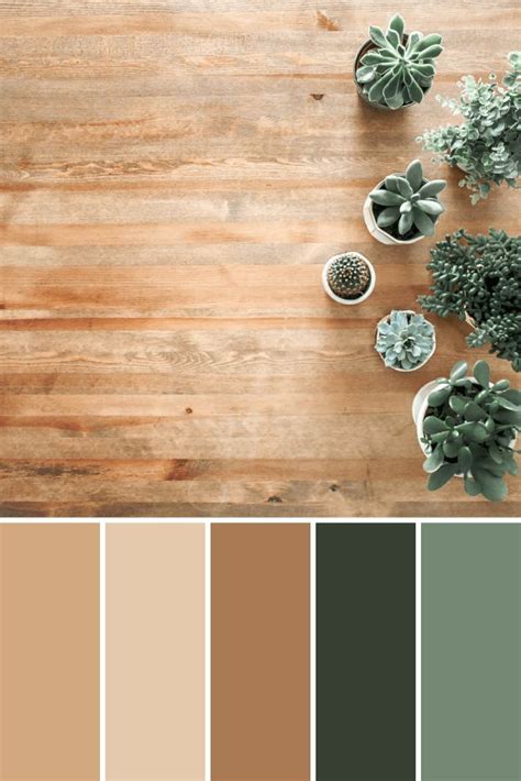 Potted Plant Color Palettes This Growing Home Color Palette