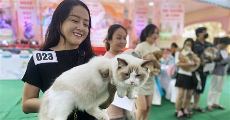 Hot girl mang thú cưng nghìn USD đến ngày hội độc đáo ở TPHCM Báo Dân trí