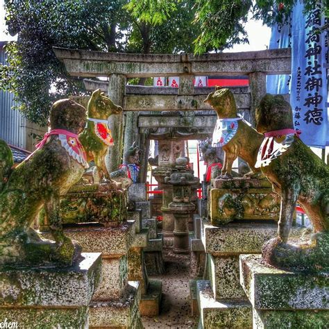 古い神狐 Old God Fox 岐阜 海津市 千代保稲荷神社 おちょぼさん お千代保稲荷 稲荷 神社 神社仏閣 門前町