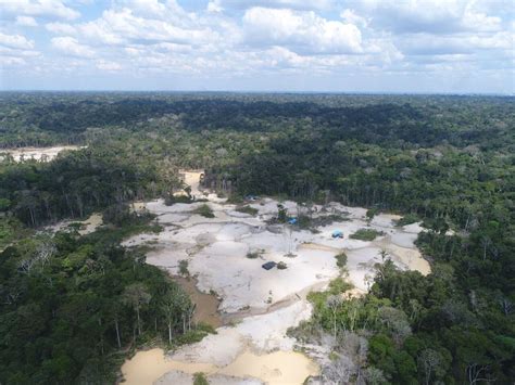 Perú perdió más de 2 7 millones de hectáreas de bosque amazónico entre