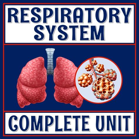 Respiratory System Unit Flying Colors Science