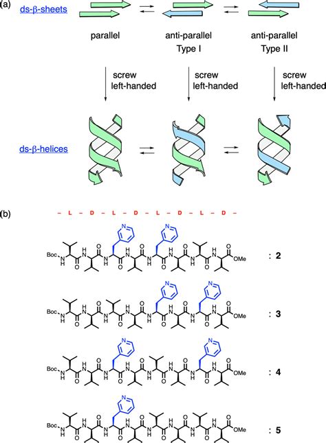 Beta Sheet Antiparallel Vs Parallel